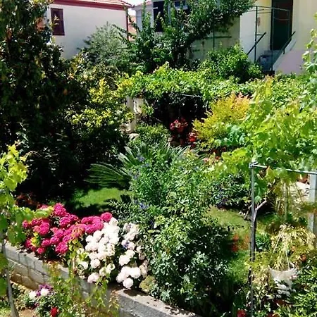 Apartment Matovina Zadar Exterior photo