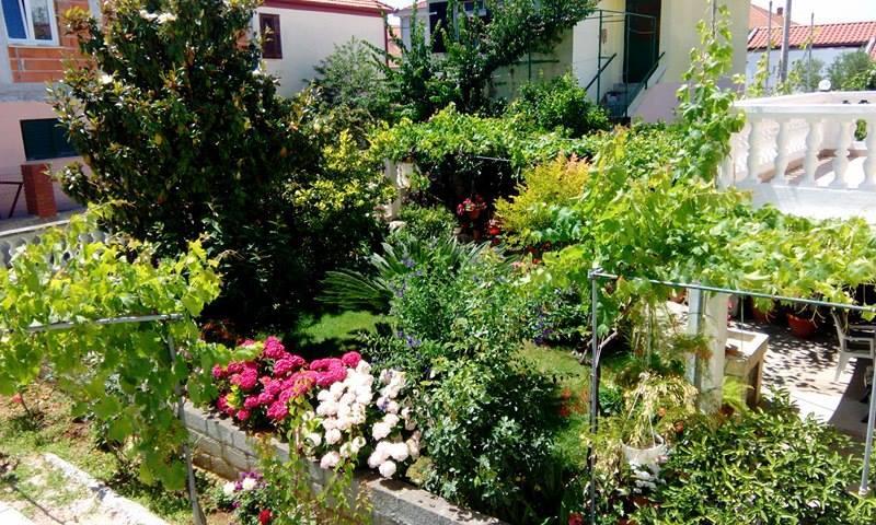 Matovina Appartement *